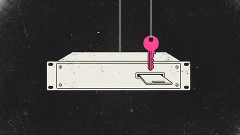 Duotone plate of an unbranded switch chassis with a firmware card sliding into a slot and a key hanging above it on a line, the key in hot pink.