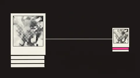 Duotone plate of a large framed photograph with four metadata strips beneath it, a line to a smaller copy that keeps only two strips, one of them filled hot pink.