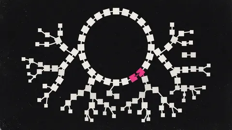 Duotone plate of a ring of connected squares branching into trees, with exactly one link in the ring broken and marked hot pink.