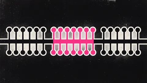 Duotone plate of a long bus line with ports hanging off both sides, grouped into three bands, the middle band in hot pink.