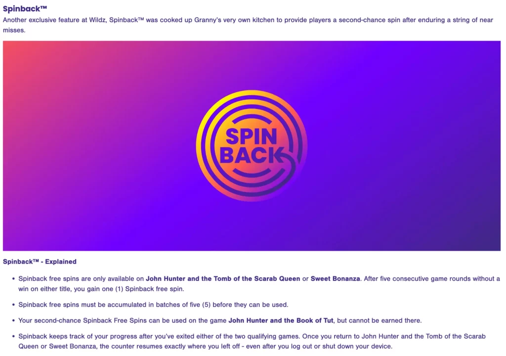 Screenshot of Wildz Casino NZ spinback bonus details